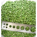 China Bulk Wholesale Distribute IQF frozen green peas